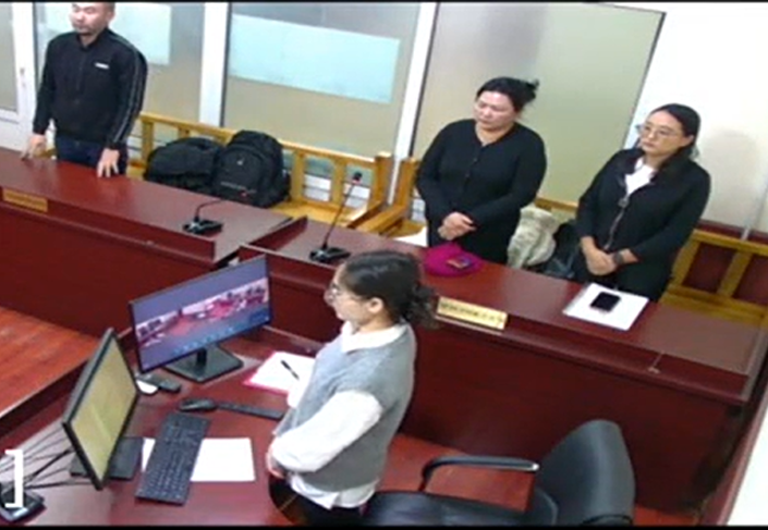 Нэхэмжлэгч: Б.Нандинтүшиг  Хариуцагч: Цоба ХХК, Баасандорж нар   Нэхэмжлэлийн шаардлага: Өмчлөгчөөр тогтоолгох тухай